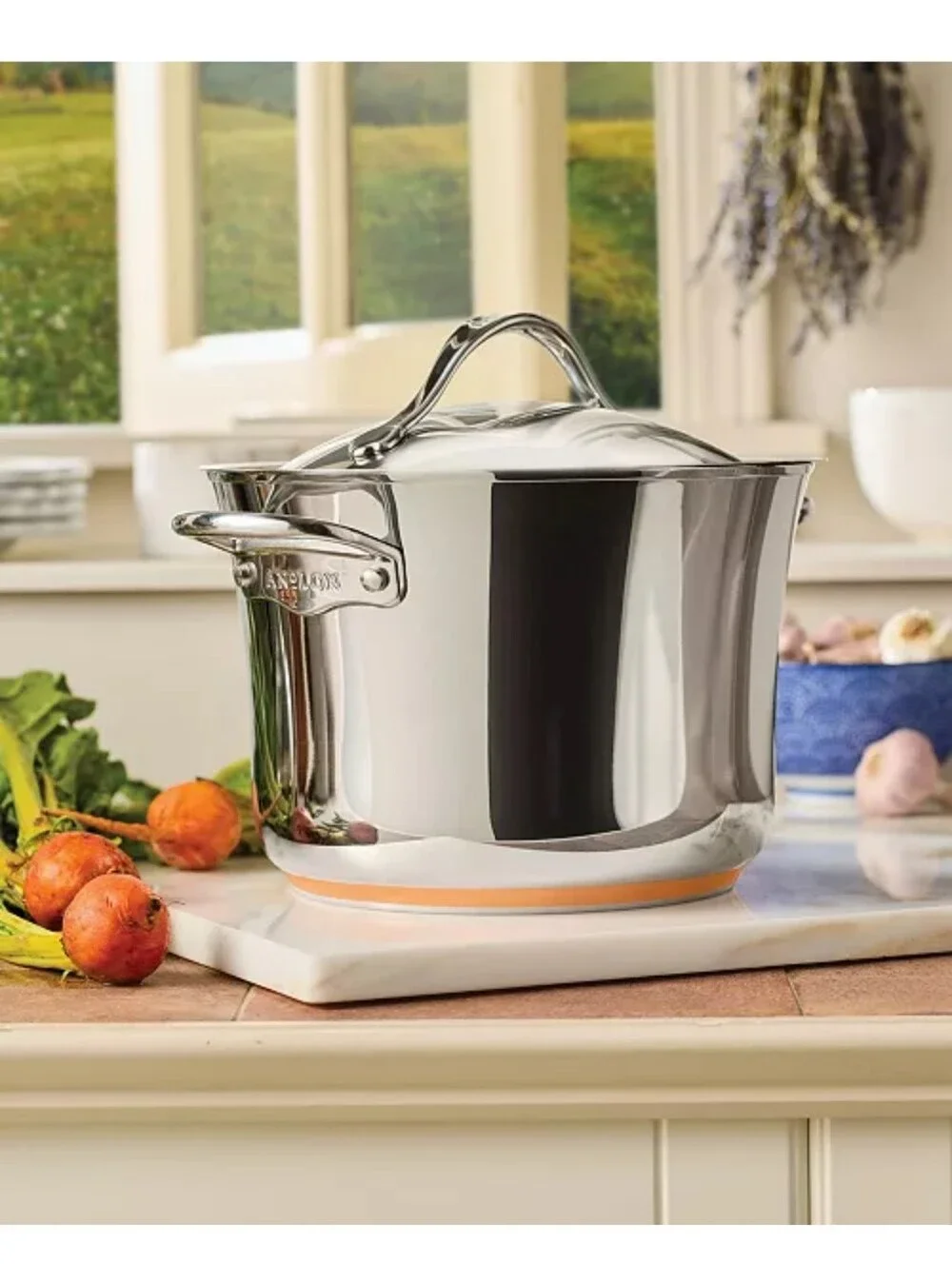 Anolon Stainless Steel Copper Bottom 6.5 Quart Stockpot